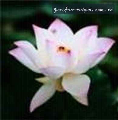 孙杰